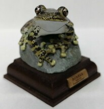 ネイチャーテクニカラー 日本のカエル カジカガエル　カエル　かえる　蛙　両生類　フィギュア_画像8