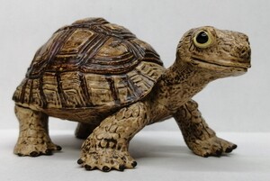 Safari　リクガメ　陸ガメ　陸亀　カメ　亀　サファリ　トータス　TORTOISE　爬虫類　フィギュア