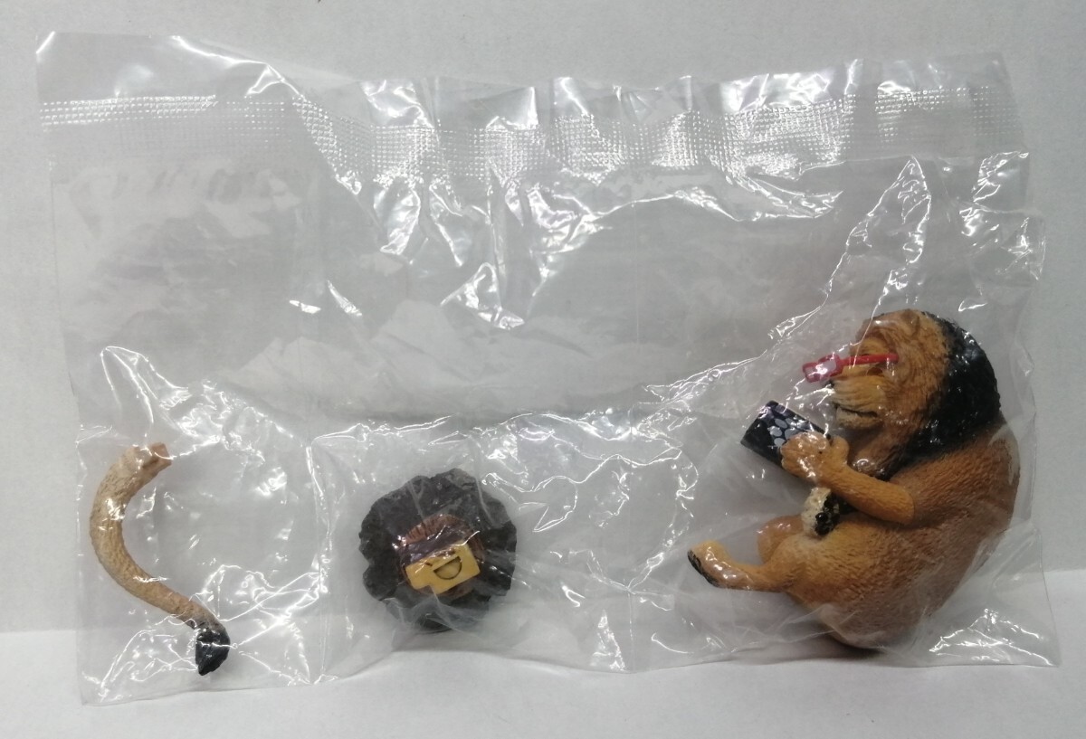 2025年最新】Yahoo!オークション -朝隈俊男(生き物)の中古品