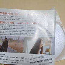 旋風の用心棒　DVD ケース無し　仲村靖秀、川原亜矢子、村田雄浩、かとうかずこ、大和田伸也_画像10