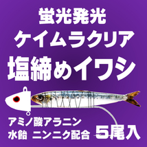 テンヤタチウオ 餌 テンヤ太刀魚 仕掛け 激臭にんにく アミノ酸配合 紫外線蛍光発光 ケイムラクリア 塩締め マイワシ 17cm前後 ５尾入_画像2