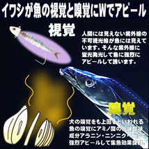 テンヤタチウオ 餌 テンヤ太刀魚 仕掛け 激臭にんにく アミノ酸配合 紫外線蛍光発光 ケイムラクリア 塩締め マイワシ 17cm前後 ５尾入_画像8