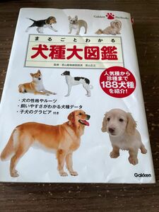 犬種大図鑑