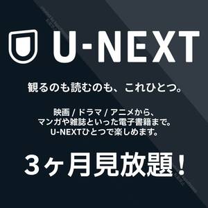 U-NEXT 3ヶ月 スマートテレビ Fire stick tv Android IOS 4K UHD 対応 キッズ ファミリー向け 韓流 作品有 