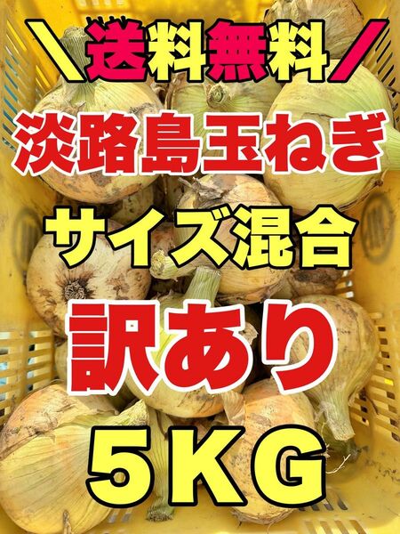 淡路島新玉ねぎ 七宝　5kg 5キロ　淡路島新たまねぎ　タマネギ　訳あり