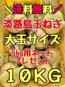 淡路島新玉ねぎ 大玉　七宝　10kg 10キロ　淡路島新たまねぎ　玉ねぎ　秀品