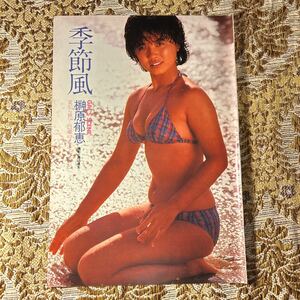 極希少！　榊原郁恵（21歳）/写楽（広告）　貴重グラビア　切り抜き　６P　当時物　８０年代　お宝　レア　水着/ビキニ/プレイボーイ/GORO