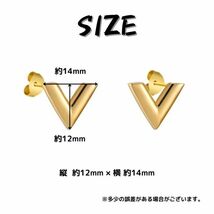 t067-SV 新品 アクセサリー ピアス Vロゴ デザイン シルバー_画像6