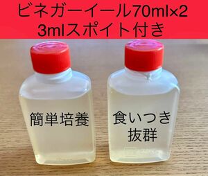 メダカ 針子 稚魚の餌 食いつき抜群 ビネガーイール 増量 70ml×2 140ml 3mlスポイト付 