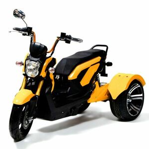 [C174] 【New item】【動作保証】【送料無料】E01YE 電動Trike 合法公道OK 普通免許で運転 Helmet不要