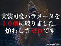 FXツール★EURUSD 5分足 最強自動売買スキャルピングEA 驚異のナンピン一切無し 単独ポジション完結システム 固定複利 高勝率 MT4 Scalping_画像5