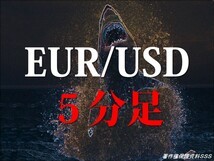 FXツール★EURUSD 5分足 最強自動売買スキャルピングEA 驚異のナンピン一切無し 単独ポジション完結システム 固定複利 高勝率 MT4 Scalping_画像9