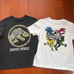 Tシャツ　ジュラシックパーク　恐竜　140cm