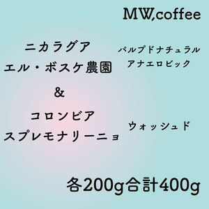 ニカラグアアナエロビック&コロンビア各200g合計400g自家焙煎コーヒー豆