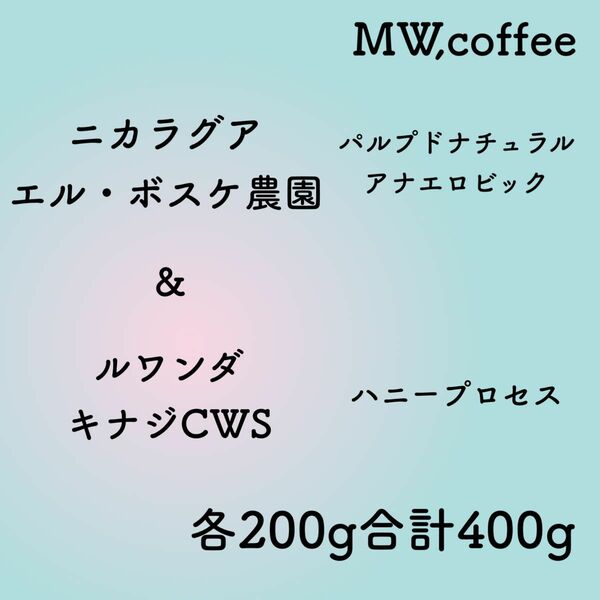 ニカラグアアナエロビック&ルワンダハニー各200g合計400g自家焙煎コーヒー豆