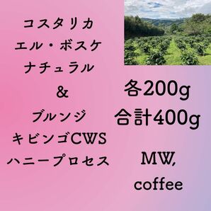 コスタリカナチュラル&ブルンジハニー各200g合計400g自家焙煎コーヒー豆