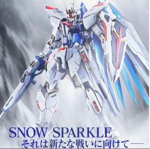 【新品・未開封】メタルビルド フリーダムガンダム CONCEPT 2 SNOW