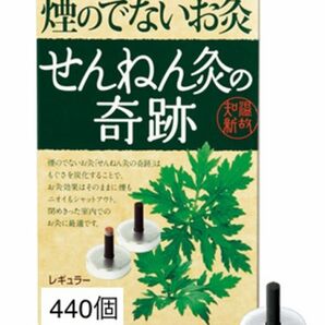 煙の出ないお灸 せんねん灸 奇跡 レギュラー 440個