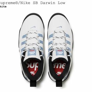 新品 Supreme Nike SB Darwin Low White US9 / シュプリーム ナイキ SB ダーウィン ロー ホワイト 白色 27cm 24SS 即納の画像3
