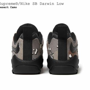 新品 Supreme Nike SB Darwin Low Desert Camo US9.5 / シュプリーム ナイキ SB ダーウィン ロー デザート カモ 27.5cm 24SS 即納の画像4