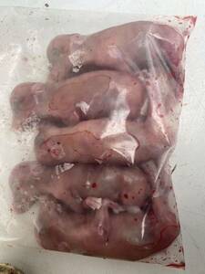 冷凍イノシシ胎児800グラム