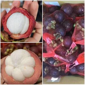 669. fresh mangosteen mountain bamboo beautiful. gem 2 pack entering approximately 1kg normal temperature shipping 