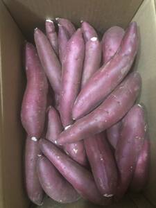 o bargain Ibaraki prefecture production sweet potato, silk sweet box included approximately 5kg