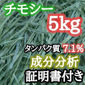 タンパク質 7.1%【成分分析証明書付き】アメリカ産 プレミアムチモシー 5kg うさぎ 小動物用 牧草