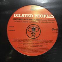 Dilated Peoples - You Can't Hide, You Can't Run プロモ12インチ Alchemist Evidence Defari Rakaa Planet Asia Strong Arm Steady Oh No_画像3