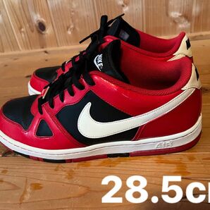 NIKE エアプライズ 28.5cm ブラック AIR レッド