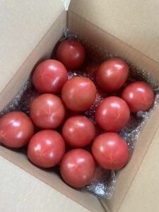  Shizuoka префектура производство A товар помидор 2.5kg. пестициды культивирование сельское хозяйство дом прямая поставка 
