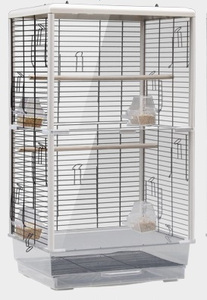  one side clear type large bird cage wire‐netting window ( gauge cage bird gauge bird small shop bird basket se regulation parakeet hand riding parakeet parrot transparent )