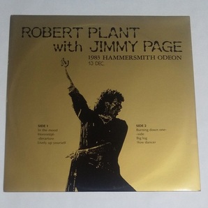 ★ROBERT PLANT with JIMMY PAGE「1983 HAMMERSMITH ODEON 13 DEC」LP レコード コレクターズ ロバート・プラント LED ZEPPELINの画像2