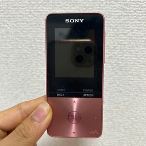 ソニー(SONY) NW-S313-PI(ライトピンク) ウォークマン Sシリーズ 