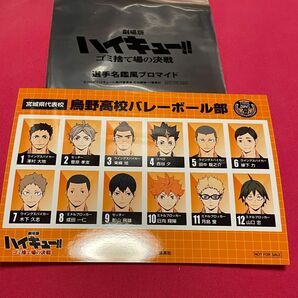 劇場版ハイキュー ゴミ捨て場の決戦 選手名鑑風ブロマイド 烏野　匿名発送　送料無料 