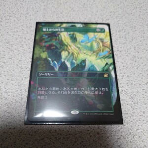 MTG RVR 壌土からの生命 日本語 一枚 ボーダーレス 即決