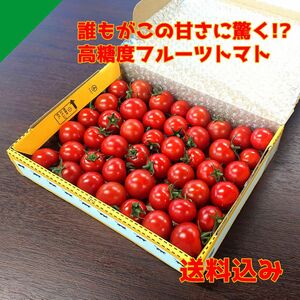 極上！高糖度フルーツトマト『ポモロッサ』ヤマトコンパクト産地直送