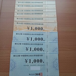 ビックカメラ コジマ 株主優待券 9000円分