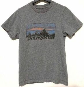 patagonia Tシャツ Made in USA 半袖 メンズ オーガニックコットン綿 パタゴニア レアロゴ　