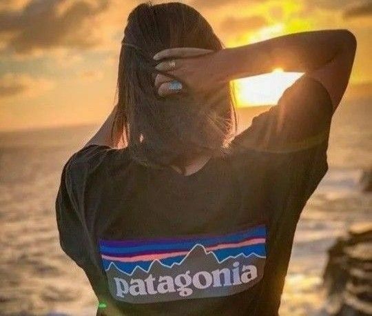 patagonia ロゴプリント バックマウンテンデザイン正規品