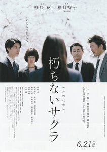 ●朽ちないサクラ　映画チラシ（２種目）杉咲花/萩原利久/森田想/坂東巳之助/駿河太郎/豊原功補/安田顕　2024年6月　邦画　フライヤー