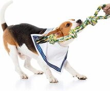 TEMLUM 犬おもちゃ 犬用 噛むおもちゃ 犬 ロープおもちゃ 綿ロープ 犬用玩具 天然コットンロープ 丈夫 耐久性 ペット用_画像1