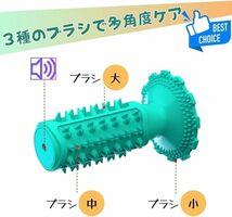 JP Number 犬 おもちゃ 噛むおもちゃ 犬用 歯ブラシ 歯石取り 音が鳴る 玩具 ストレス解消 高耐久（グリーン）_画像4