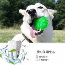ABPET 犬おもちゃ 3個 犬用ボール 噛むおもちゃ 音の出るおもちゃ 知育玩具 天然ゴム 弾力性 耐久性 ストレス解消 運動不_画像5