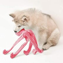 onebarleycorn 犬おもちゃ 音が鳴る ぬいぐるみ 可愛い 犬用おもちゃ 犬噛むおもちゃ シミュレートされたタコのおもち_画像5