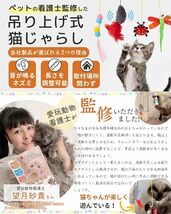 SOMOTO 猫じゃらし 【ペット看護士監修】 ぶら下げる 4点セット 一人遊び 吊り下げ 猫 おもちゃ ねずみ ねこ 子猫 大き_画像2