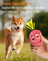 犬 おもちゃ 音が出る ぬいぐるみ 【6点セット ・単一のおもちゃサイズ：6.6cm＊6.6cm＊5.8cm】 犬 ボール 運動不_画像2