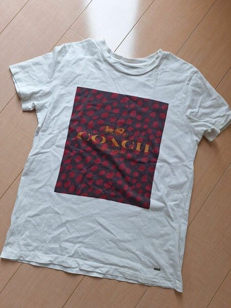 COACH 半袖 Tシャツ ロゴ XS レオパード 正規店購入 コーチ