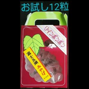 ワインボンボン お試し 12粒 富士五湖みやげ ②