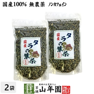 健康茶 国産100% タラの葉茶 無農薬 100g×2袋セット 宮崎県産 送料無料